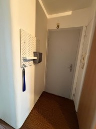 IMG_1746.jpeg
