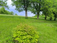 IMG_20260520_173756.jpg