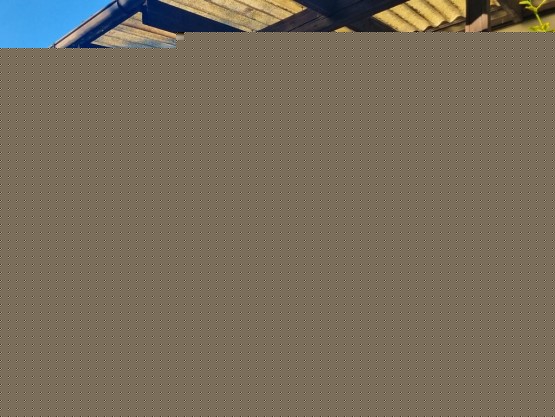 1 (2)