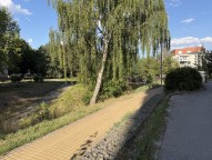 IMG_0144