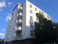 IMG_20260807_175117