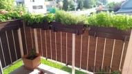 img-20190608-183720.jpg