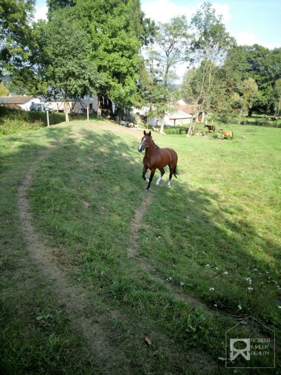 Chov zvířat 2