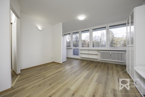 Obývací pokoj s kuchyňským koutem