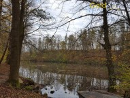 20171103_093356