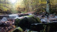 IMG_20171008_094446