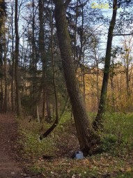 20171103_095603