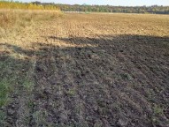 foto-5.jpg