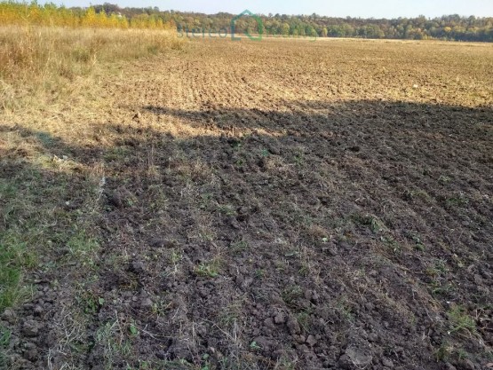 foto-5.jpg