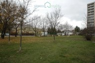 img-0294.jpg