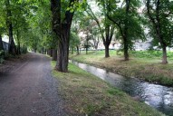 dsc04629.jpg