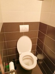 IMG20250117110950.jpg