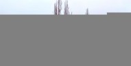 IMG20250121145843_panorama.jpg