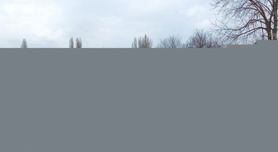 IMG20250311085159_panorama.jpg