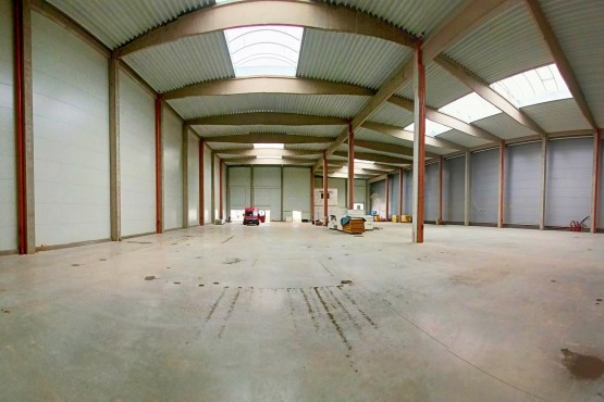 IMG20260108121158_panorama.jpg