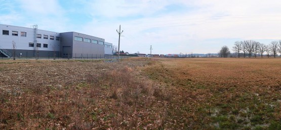IMG_2395_panorama.jpg
