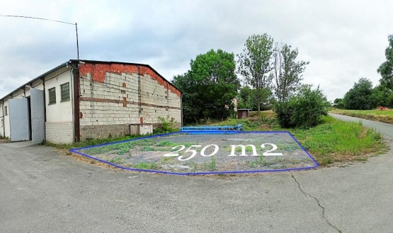 IMG20250707112823_panorama.jpg