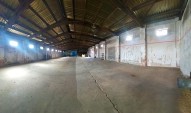 IMG20260313110926_panorama.jpg
