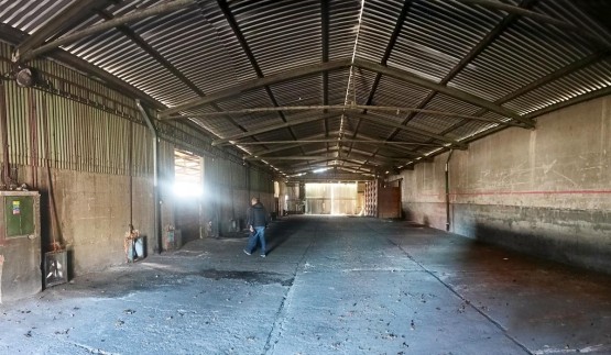 IMG20260313112336_panorama.jpg