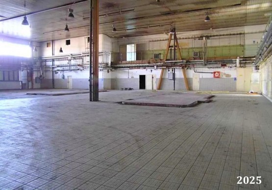 p5.JPG