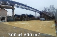IMG20260123122931_panorama.jpg