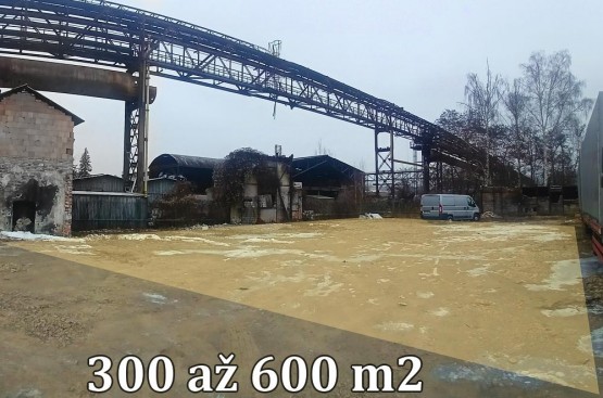 IMG20260123122931_panorama.jpg