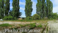 IMG20250725092644_panorama.jpg