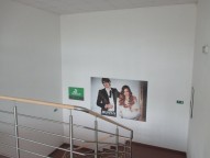 FOTO 12