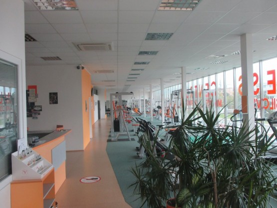 FOTO 11