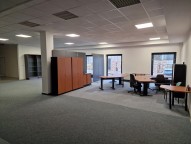 Detail: Pronájem obchodních prostor 224 m2