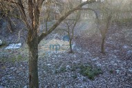 Obrázek k zakázce č.: 617373