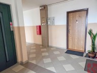 Detail: Pronájem bytu 3+1, 80 m2