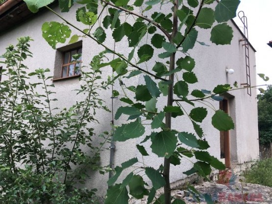 img-3530.jpg
