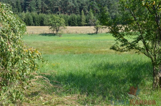 dsc-0074-3.jpg