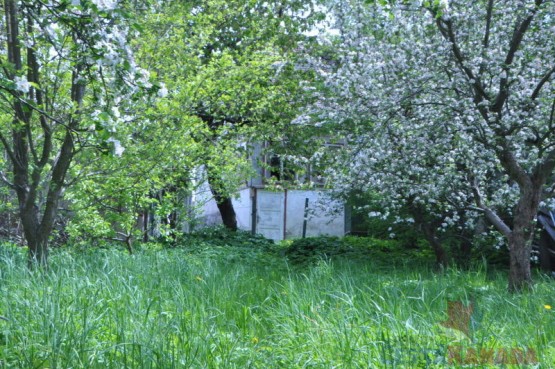 dsc-0010-8.jpg