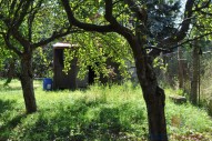 dsc-0072.jpg