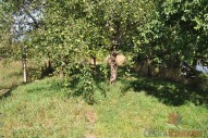 dsc-0080.jpg