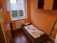 Obrázek k zakázce č.: 601063