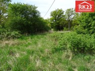DSC03090