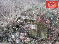 IMG_20181121_111150