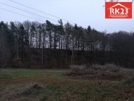 IMG_20181121_111048