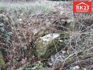 IMG_20181121_111146