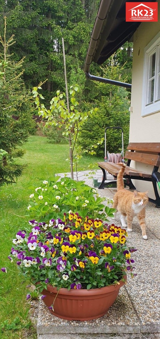 Obrázek WhatsApp, 2025-07-17 v 15.01.07_dbb1e22e