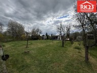 IMG_7407