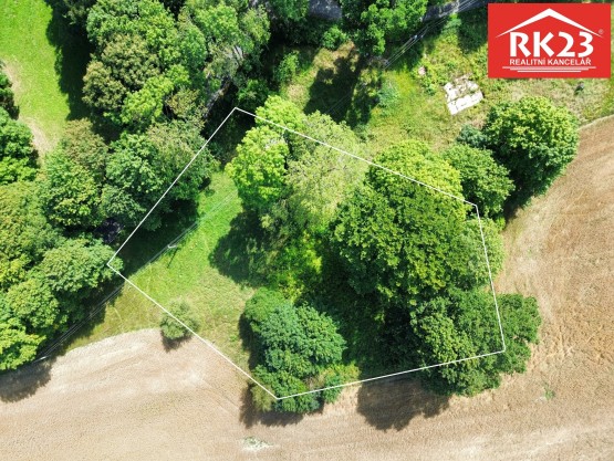 dji_fly_20250813_142656_525_1755088042461_photo