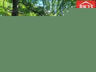 20260812_142133