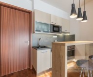 d-440-2018-pronajem-apartmany-praha-albertov-rental-apartments-07.jpg