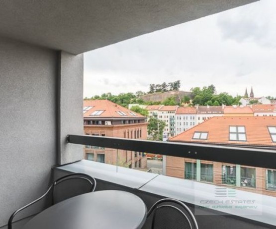 d-440-pronajem-apartmany-praha-albertov-rental-apartments-15.jpg