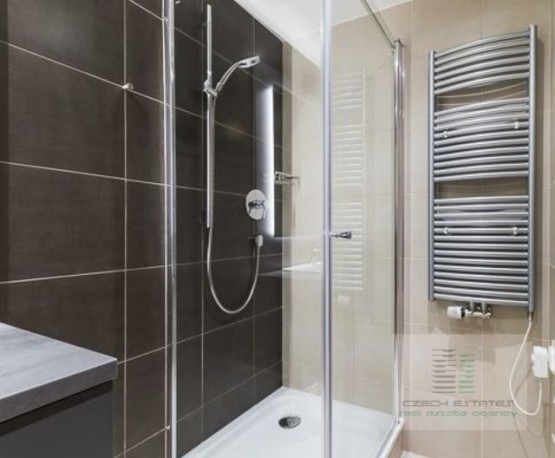 d-440-2018-pronajem-apartmany-praha-albertov-rental-apartments-14.jpg