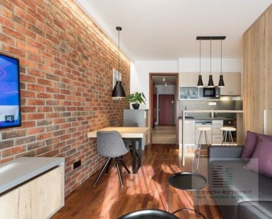 d-440-2018-pronajem-apartmany-praha-albertov-rental-apartments-05.jpg